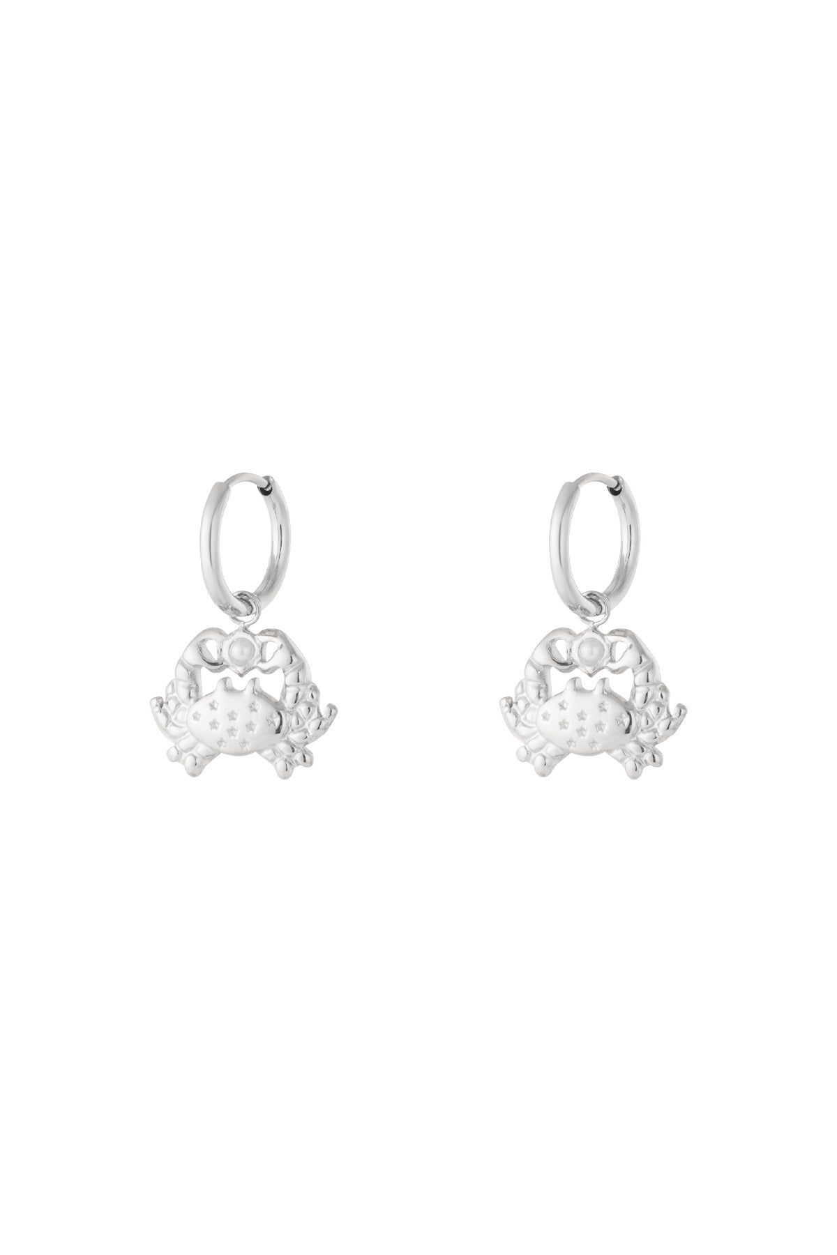 Drop Earrings Animal Casual Daily Simple Series Women's jewelry
