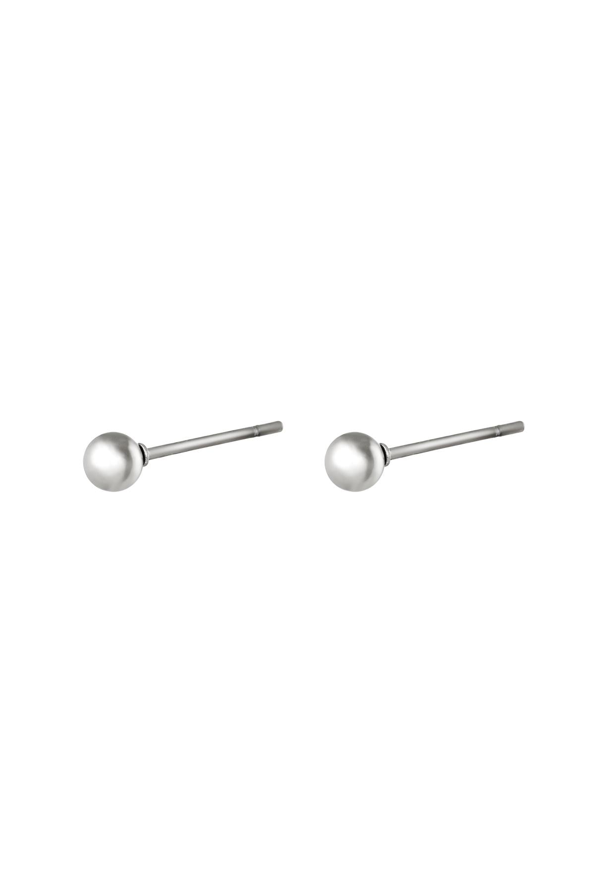 Big Dot Stainless Steel Earrings