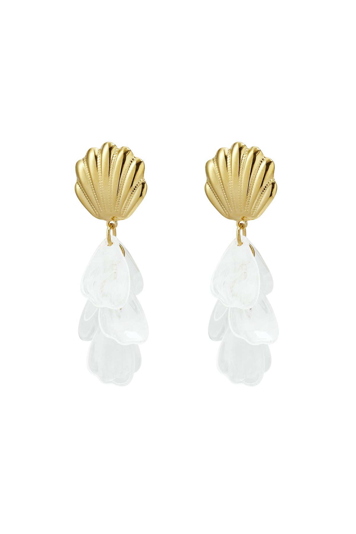 Stainless Steel Drop Earrings shell Casual Daily Simple Series Women's jewelry