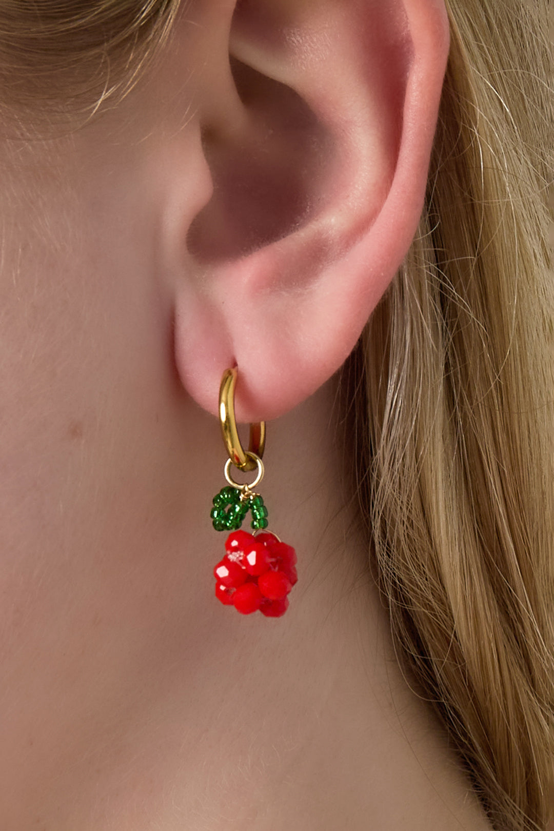 Stainless Steel Drop Earrings Plant Casual Daily Women's jewelry