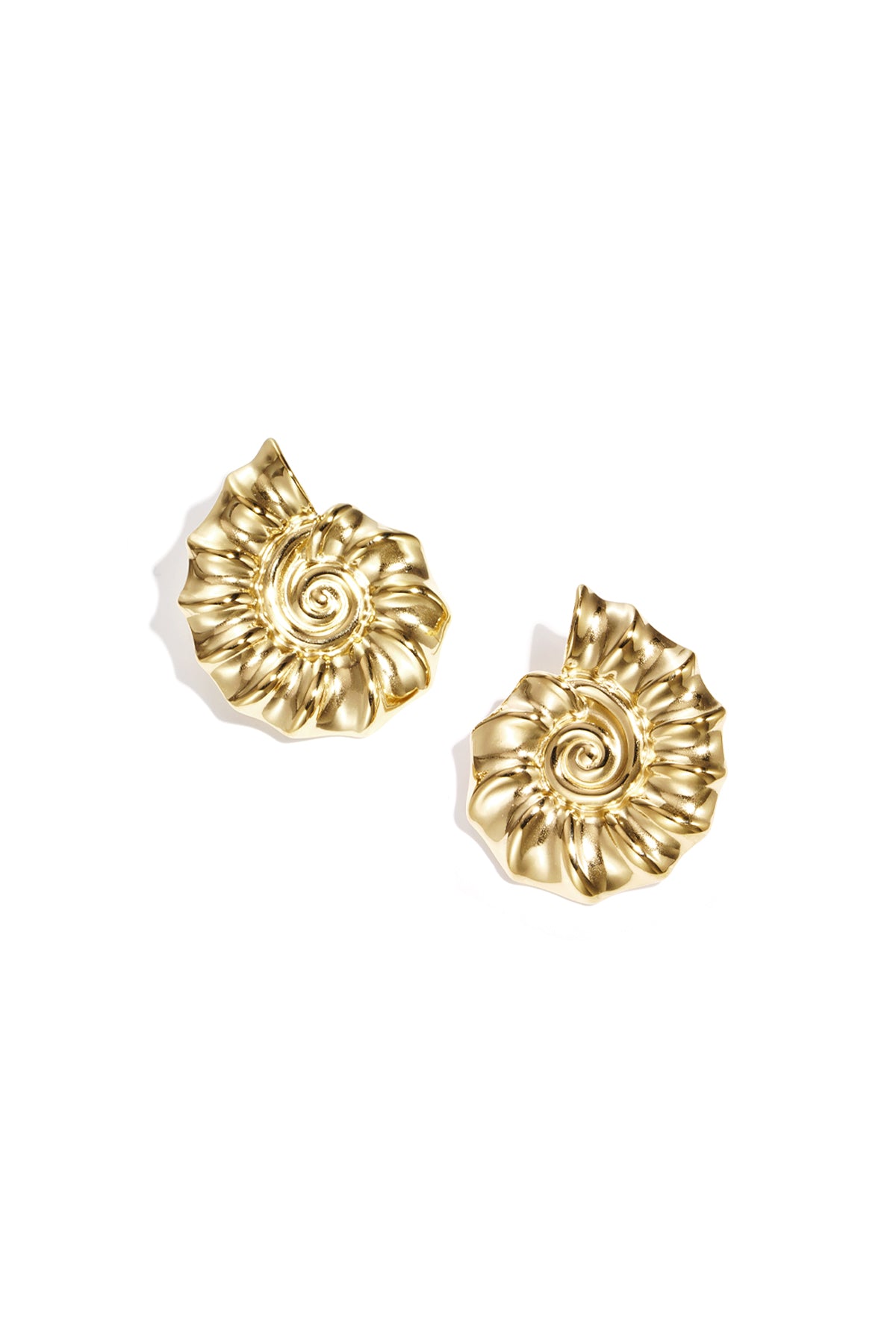 Stainless Steel Stud Earrings shell Casual Daily Simple Series Women's jewelry