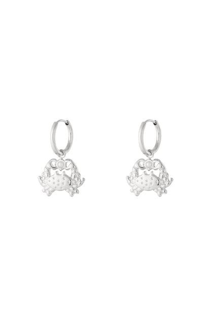   Drop Earrings Animal Casual Daily Simple Series Women's jewelry