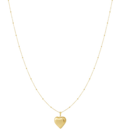 Stainless Steel Pendant necklaces Heart Casual Daily