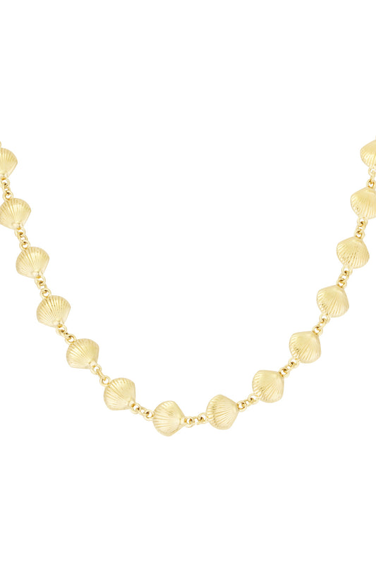 necklace shell trio