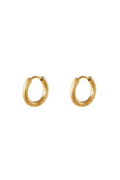stainless steel hoop earrings