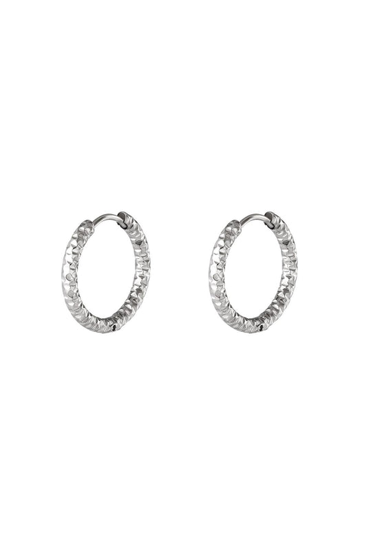 stainless steel hoop earrings 