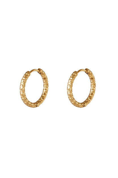 stainless steel hoop earrings 