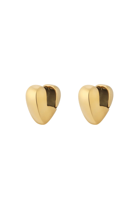 Heart earrings