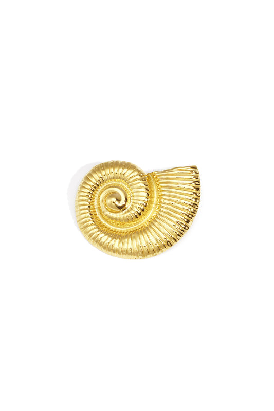 Stainless Steel Brooches shell Casual Daily Simple Series Women's jewelry