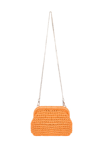 The Colorful Clutch bag
