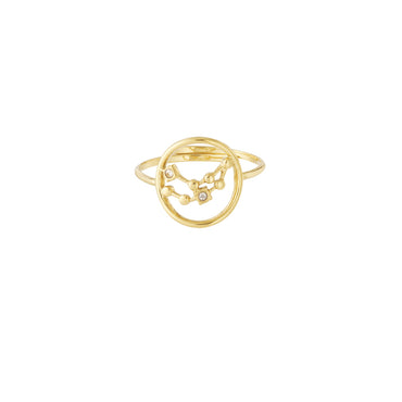 12 Zodiac Rings