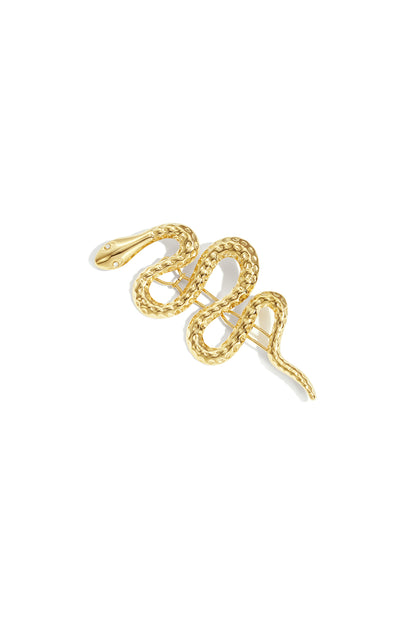 Stainless Steel Brooches snake Casual Daily Simple Series Women's jewelry