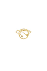 12 Zodiac Rings