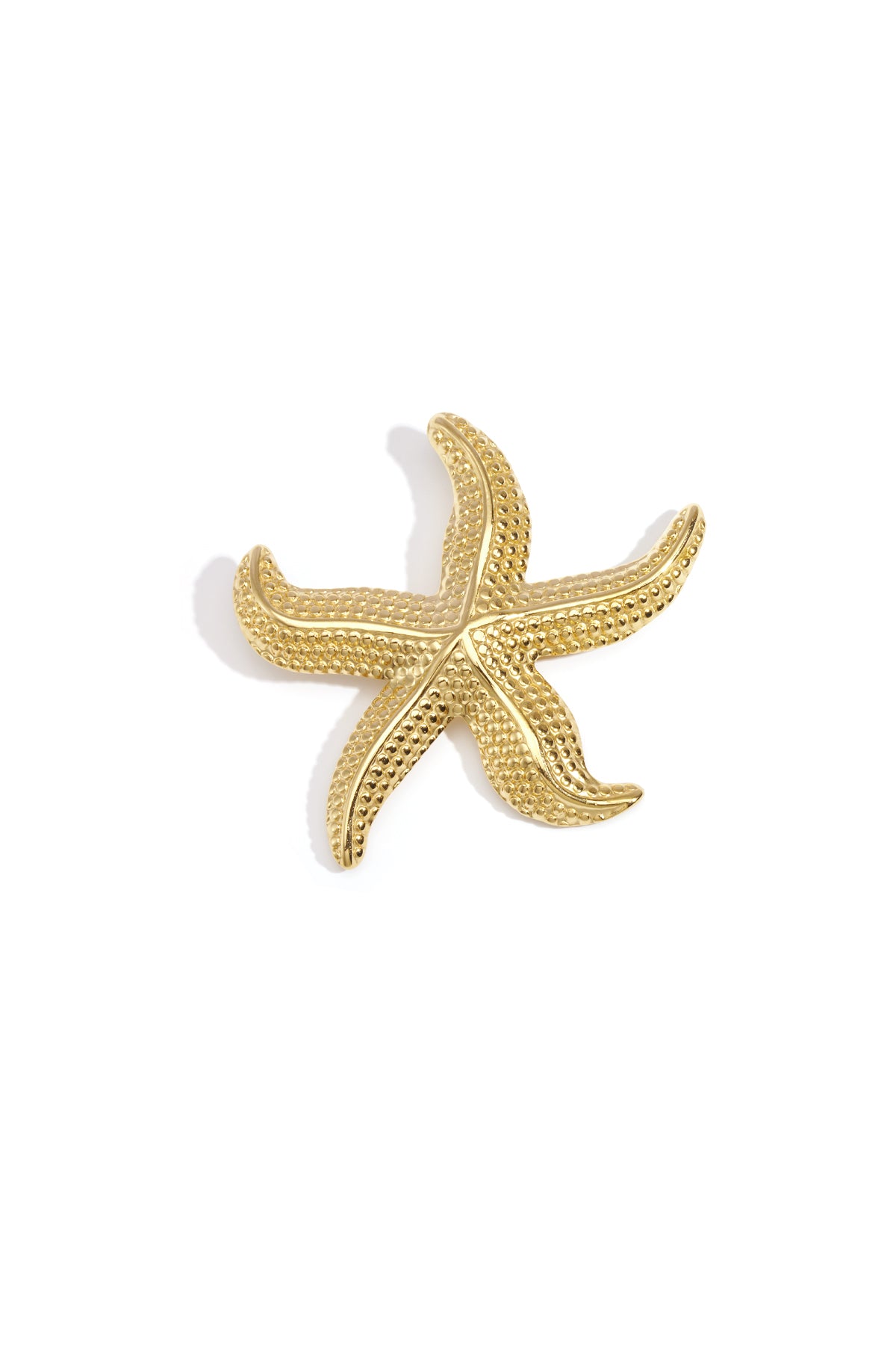Stainless Steel Brooches starfish Casual Daily Simple Series Women's jewelry