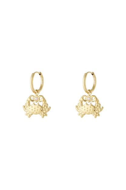   Drop Earrings Animal Casual Daily Simple Series Women's jewelry