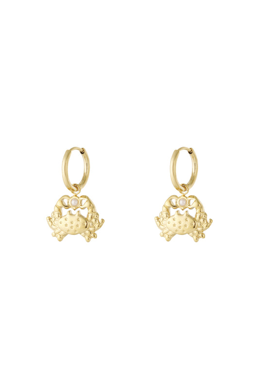   Drop Earrings Animal Casual Daily Simple Series Women's jewelry