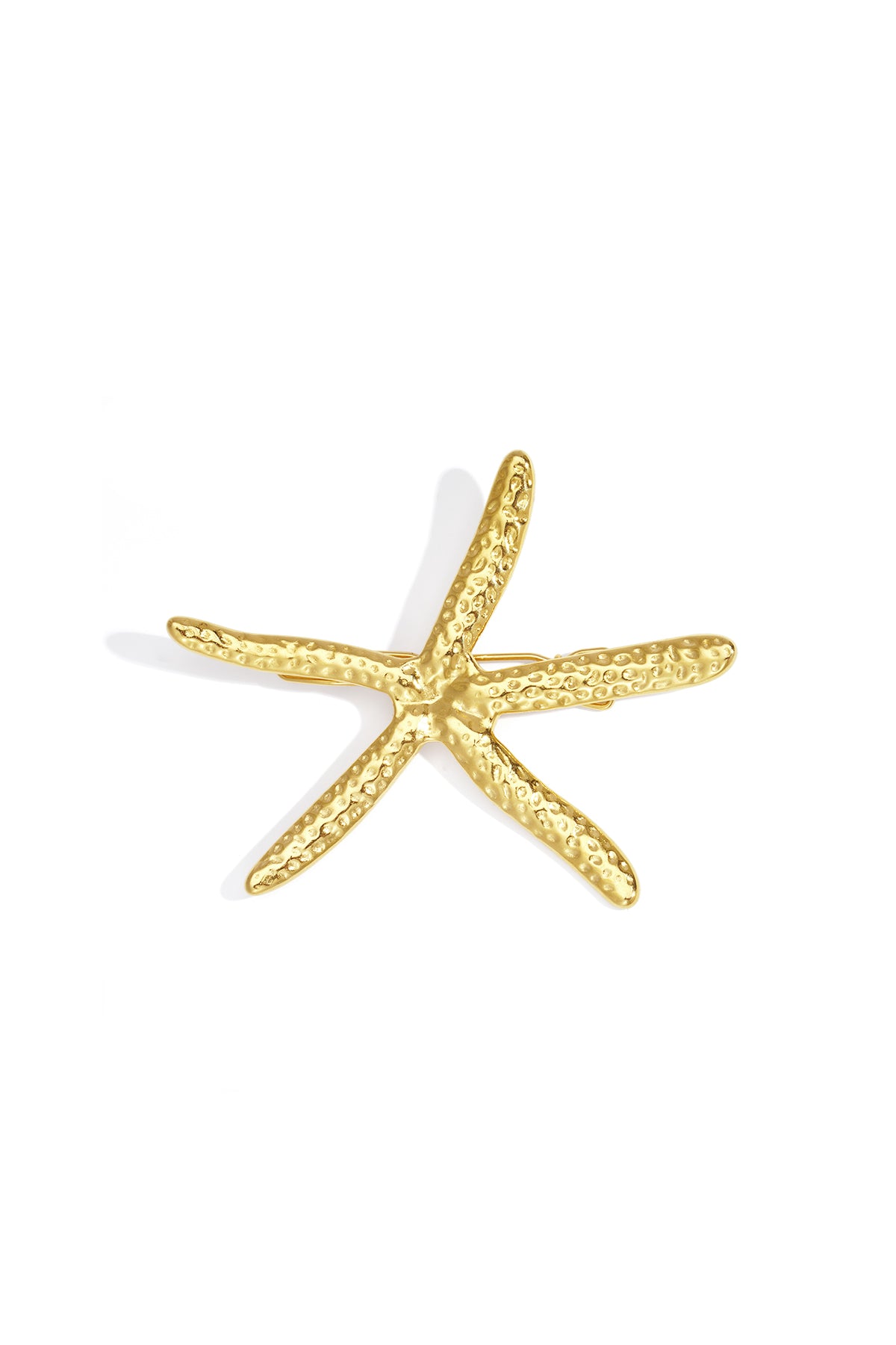 Stainless Steel Brooches starfish Casual Daily Simple Series Women's jewelry