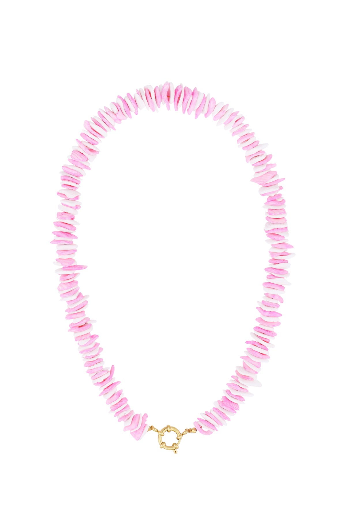 Seashell Necklace