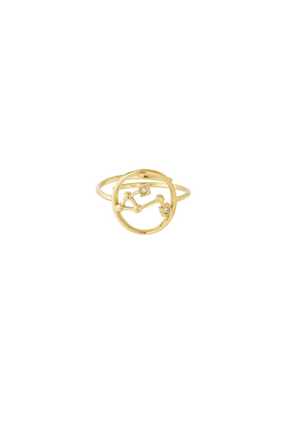 12 Zodiac Rings
