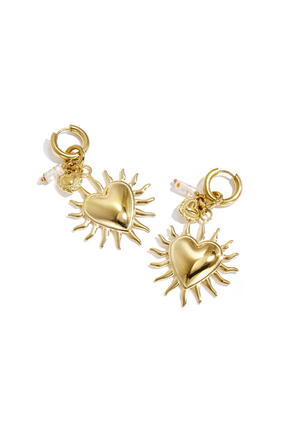 Stainless Steel Drop Earrings Heart Casual Daily Simple Series Women's jewelry