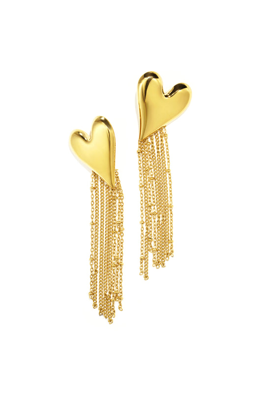 Stainless Steel Dangle Earrings Heart Casual Daily Simple Series Women's jewelry