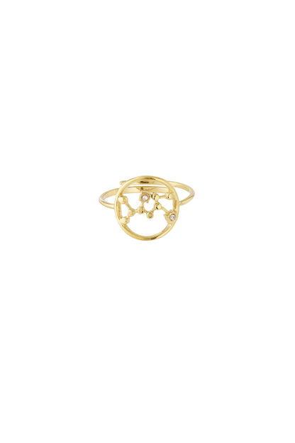 12 Zodiac Rings