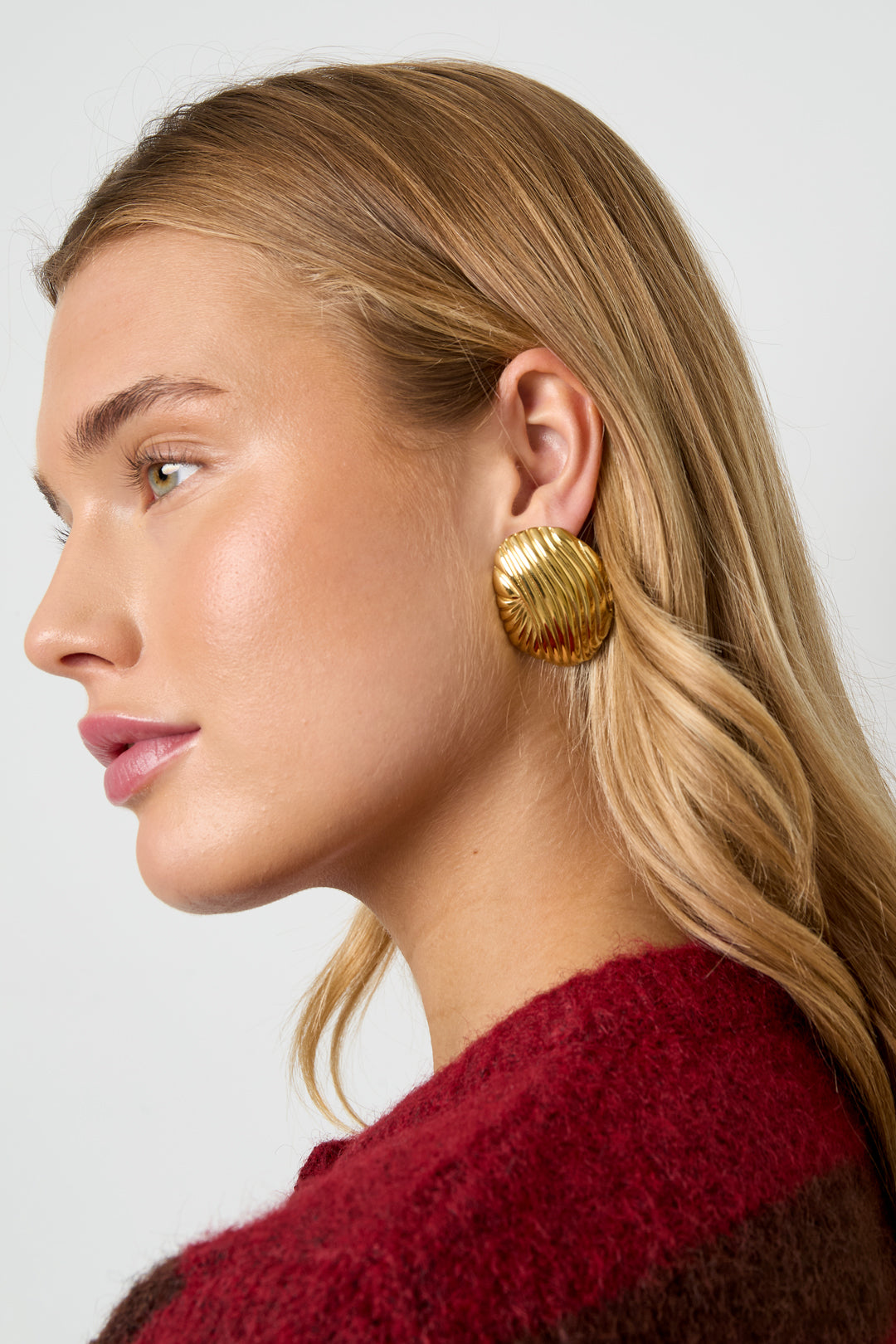 Stainless Steel Stud Earrings irregular shape Casual Daily Simple Series Women's jewelry